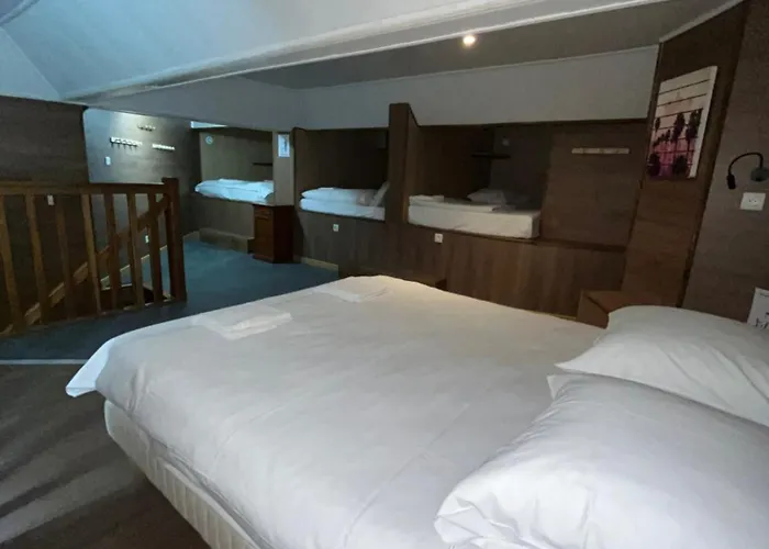 Amazonia * Ντιζόν