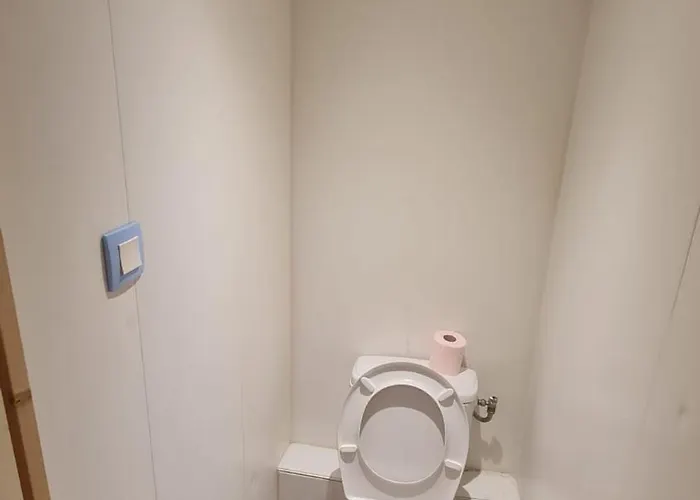 Amazonia Διαμέρισμα